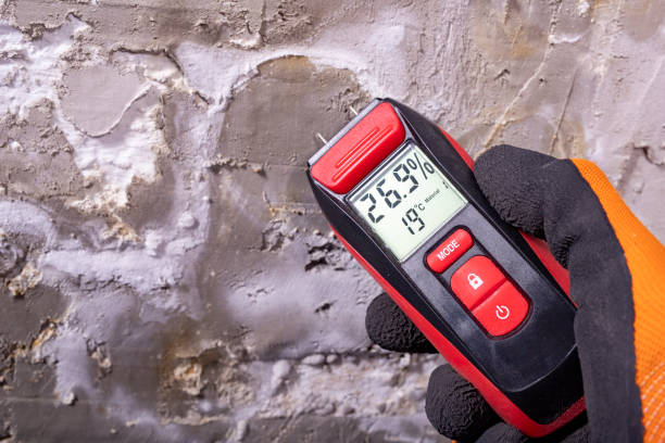 Best Mold Cleaning Services  in Parkville, MD