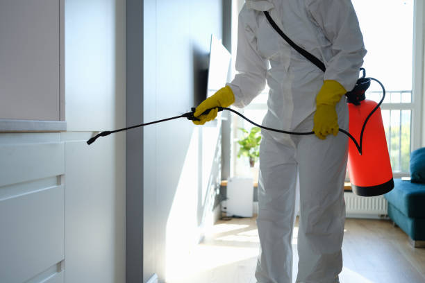 Best Home Mold Removal  in Parkville, MD