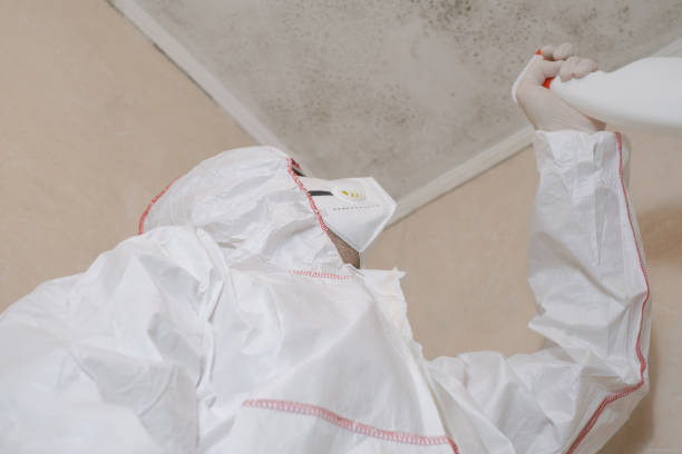 Best Emergency Mold Removal  in Parkville, MD