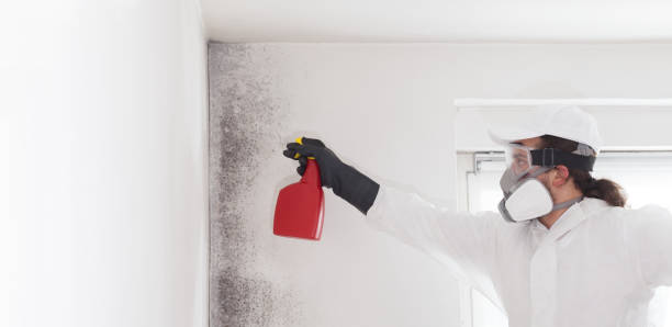 Parkville, MD Mold Removal Company