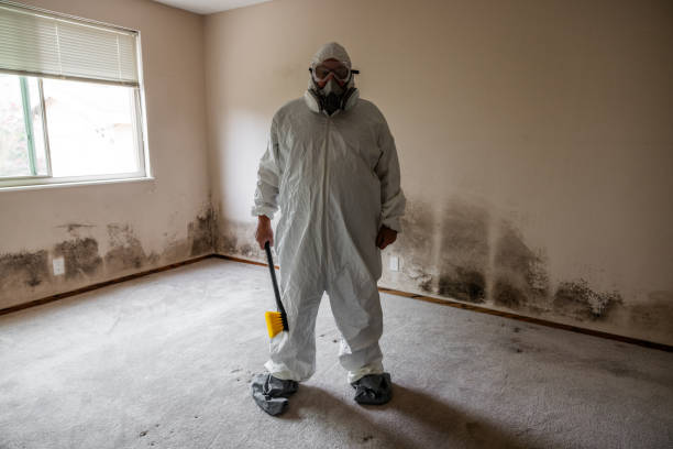 Best Crawl Space Mold Removal  in Parkville, MD