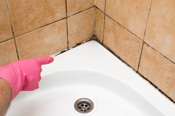  Parkville, MD Mold Removal Pros